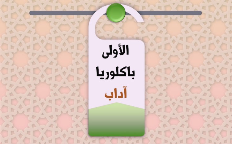 جذاذات الأولى باكالوريا&nbsp;آداب